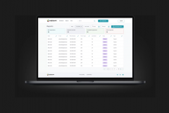 Developing custom software for payroll and accounting services